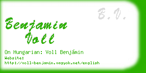 benjamin voll business card