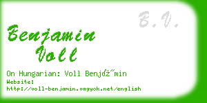 benjamin voll business card